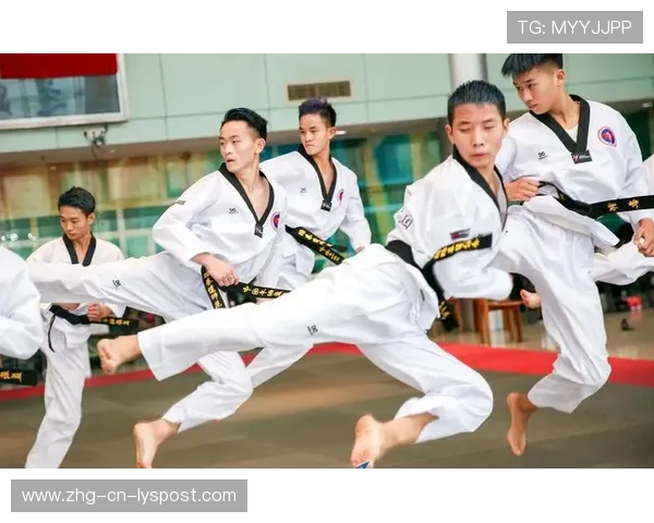 跆拳道学院完善青少年训练营的课程评估与师资保障，跆拳道研修馆